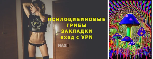 стафф Белоозёрский