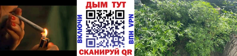 Канабис MAZAR Няндома
